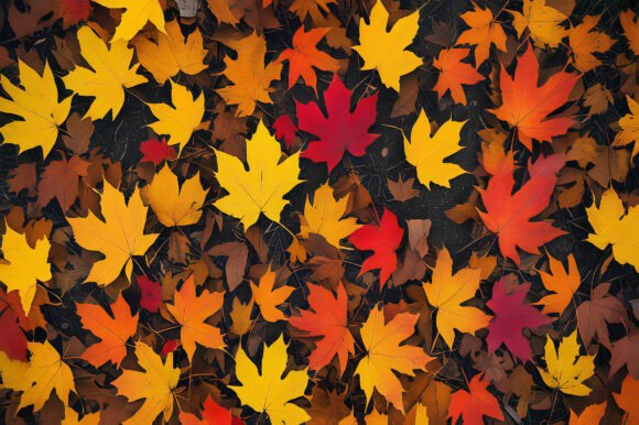 Colorful Autumn Maple Leaves Background